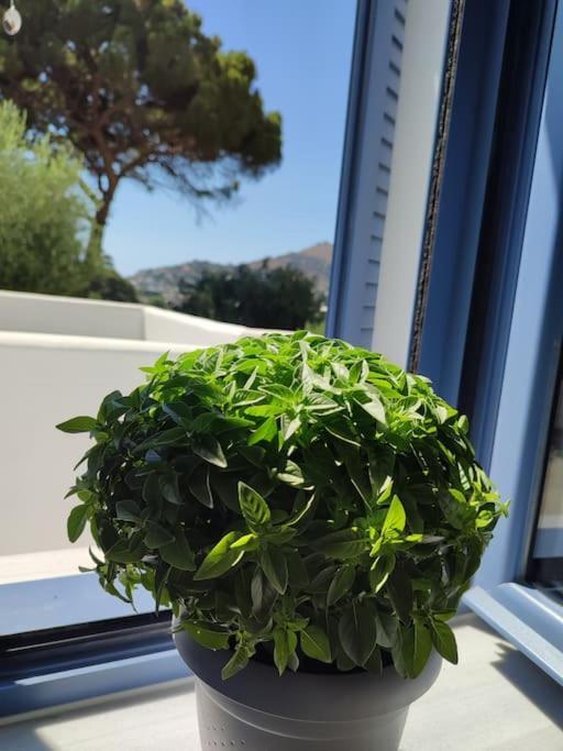 Panormos  Το Σπιτάκι To Spitaki Τhe Little House 빌라 외부 사진